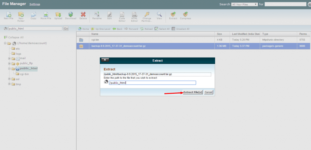 cPanel File Extract Location
